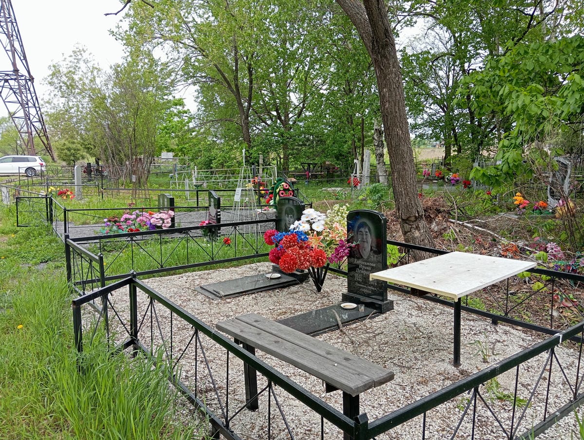 02274151-6d01-4083-a043-8fae71703e3a Евдокимова Ирина Петровна