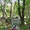 Ладынская Анна Вячеславовна
