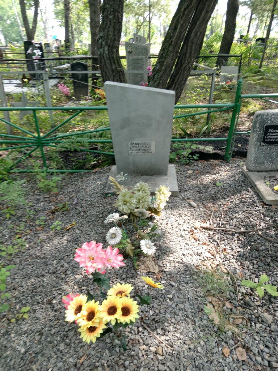 025be7cd-b525-47ec-b260-2133270e2e14 Кузнецов Николай Денисович