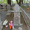 Гомозова Екатерина Ильинична