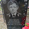 Лесных Александр Николаевич