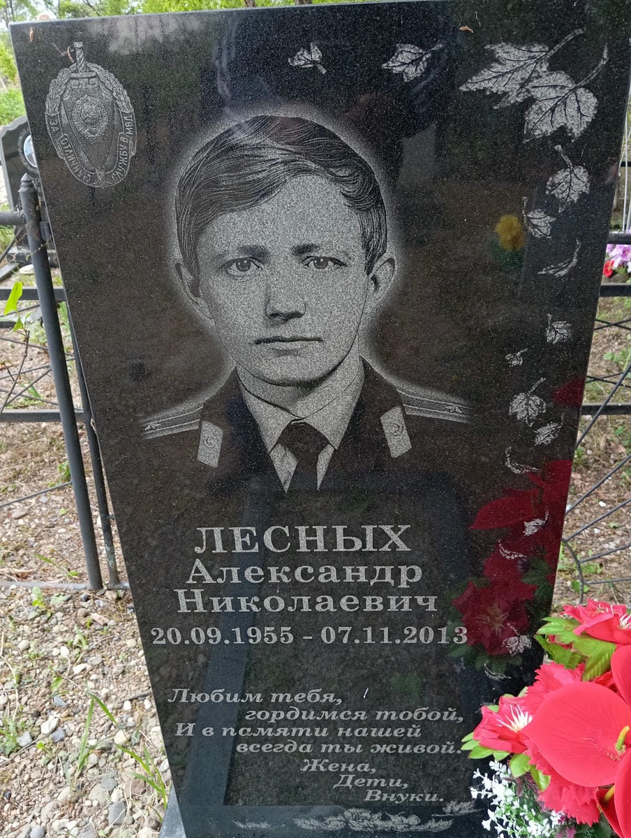 0339a9a3-fafc-4159-94f3-1c68b4d80fd7 Лесных Александр Николаевич