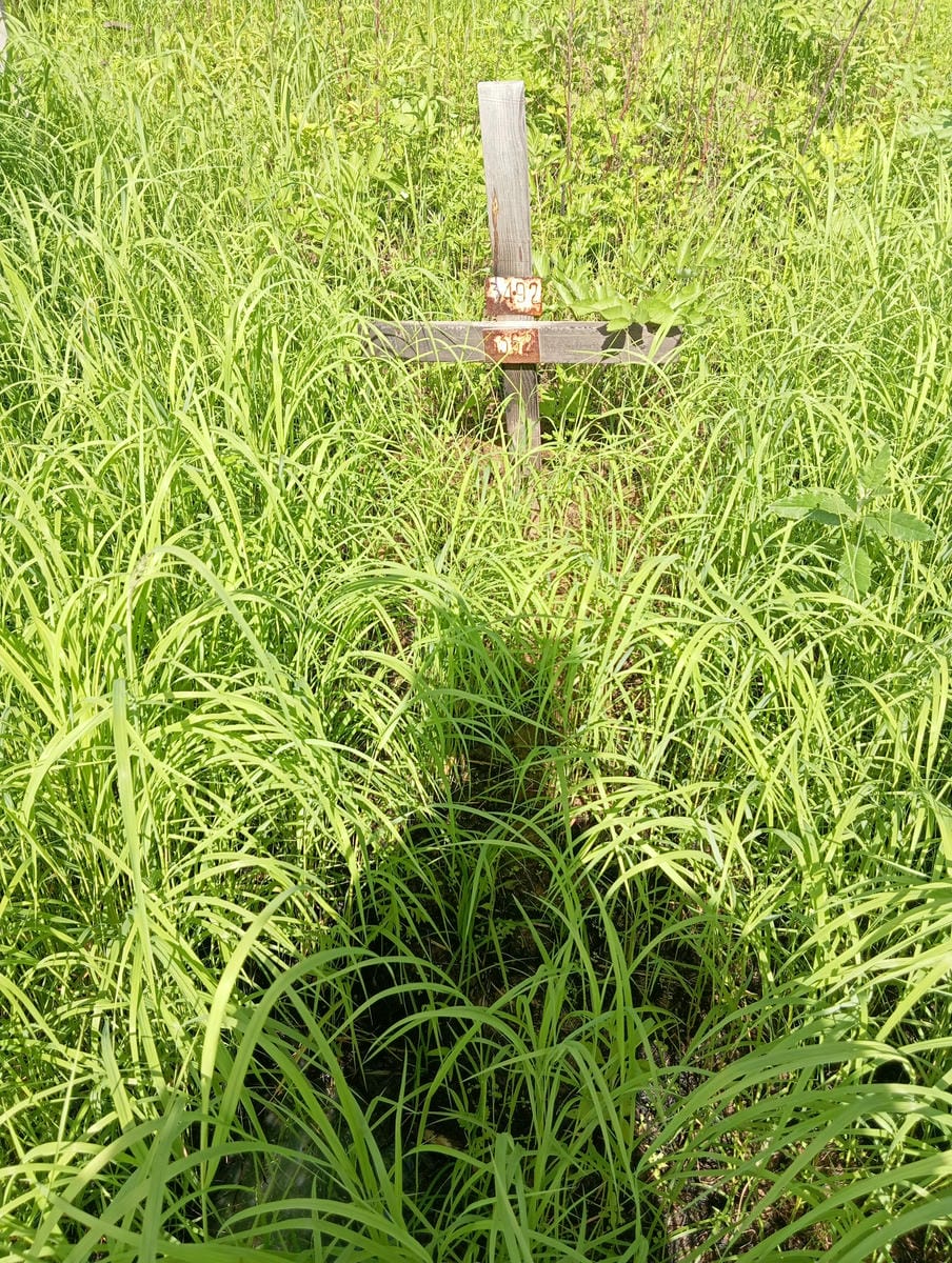 Неизвестно Неизвестно Неизвестно