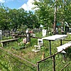 Самофал Елена Владимировна