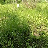 03847a59-c2cf-43a2-a5b5-449a0fab7720 Неизвестно Неизвестно Неизвестно