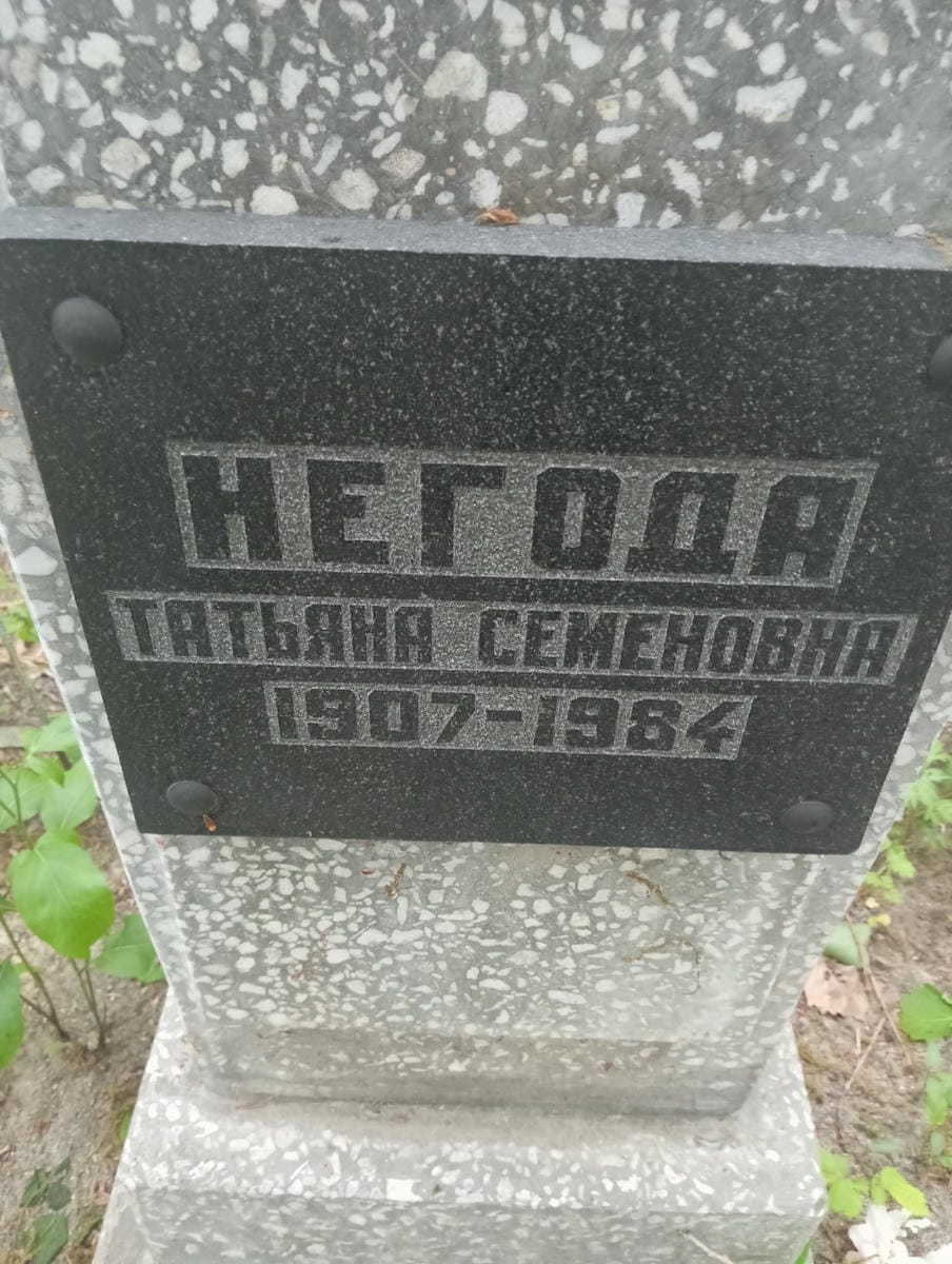 03a3f9e9-c0db-4dbd-81cd-1f0c8b77d617 Негода Татьяна Семеновна