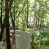 Будяева Надежда Михайловна
