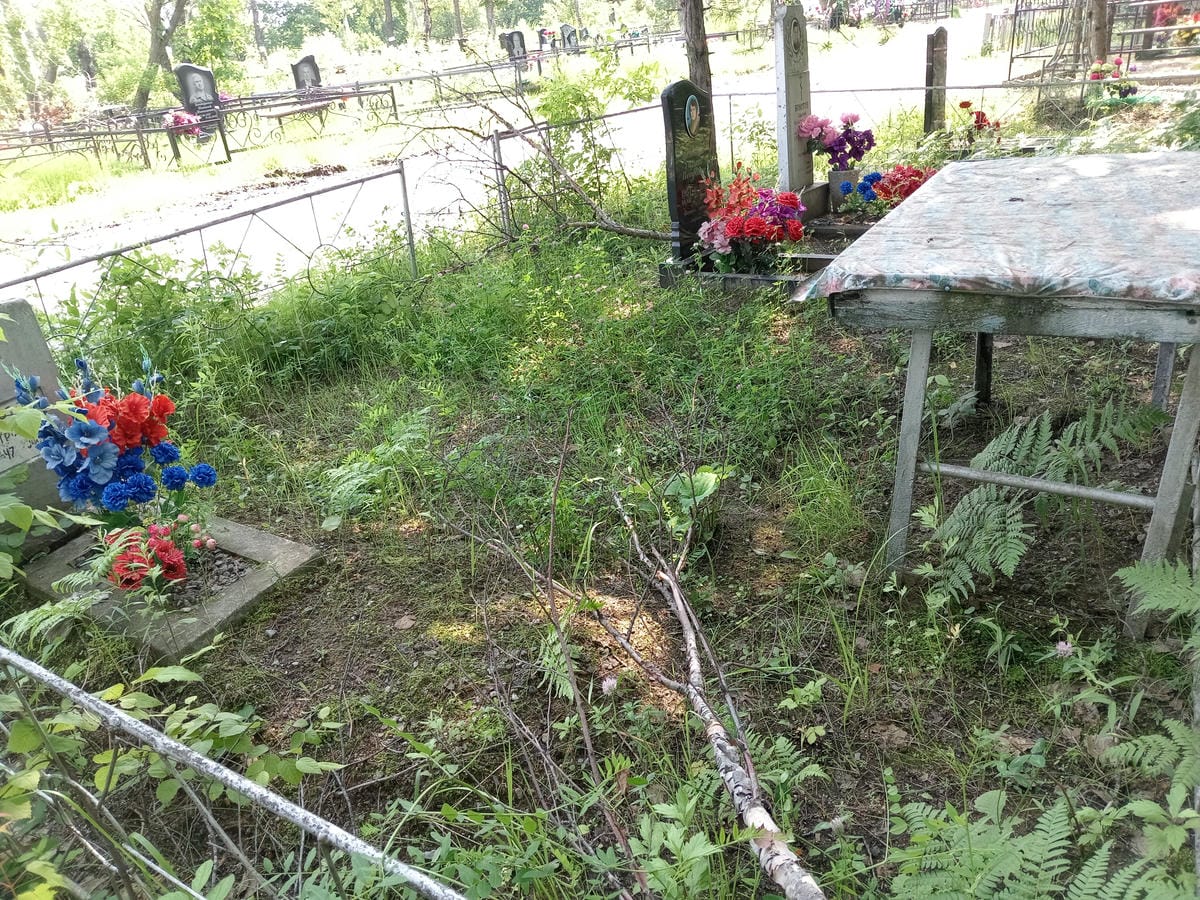 Болотов Владимир Петрович