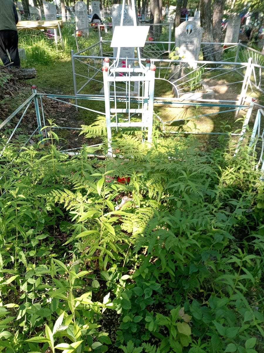 0438bc96-a4ea-41f9-b2cb-6a4830d89839 Соловьев Иван Ефимович