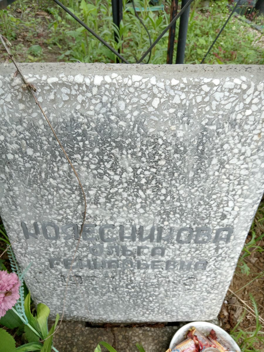 04bd0078-0753-409a-bc40-b594242235ad Колесникова Ольга Геннадьевна