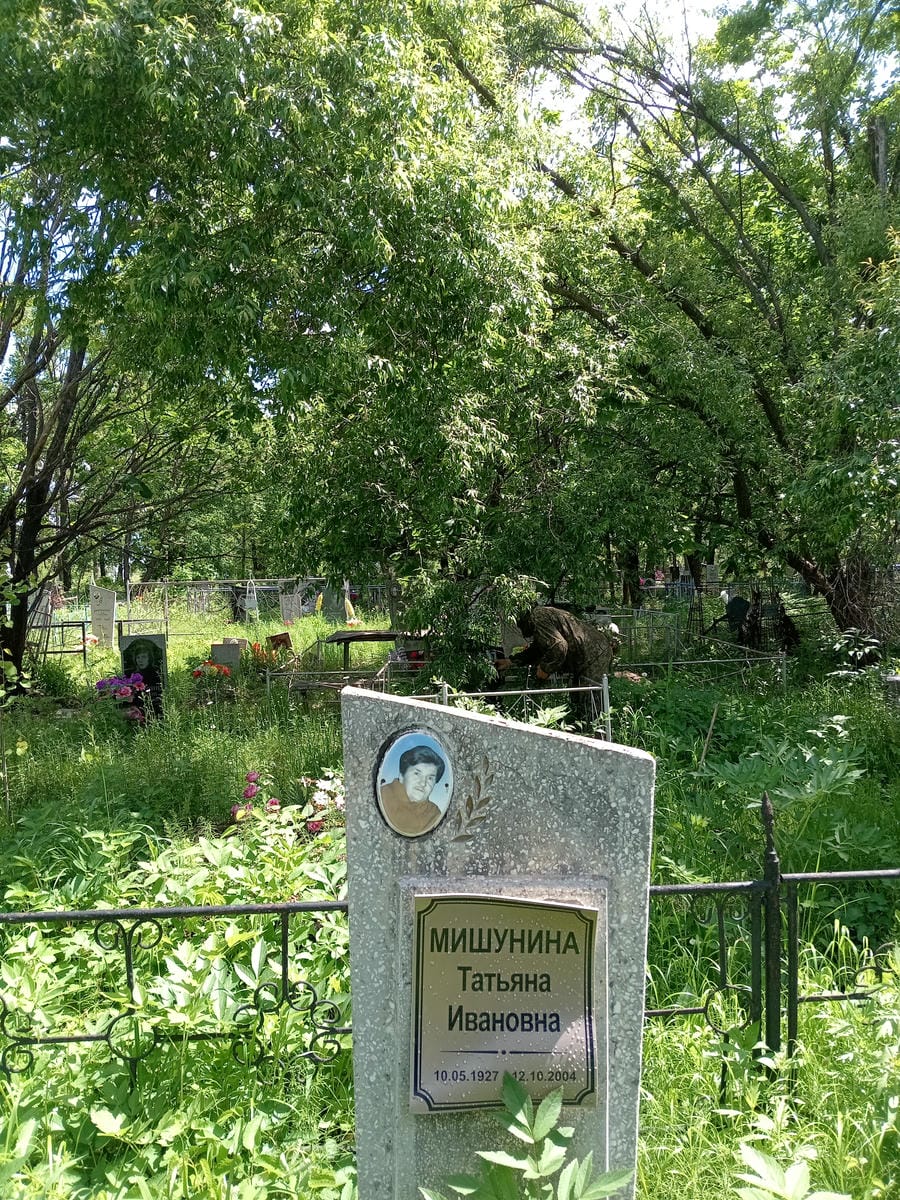 04f13321-e73f-49c6-9b2a-98bcc82fef5a Мишунина Татьяна Ивановна