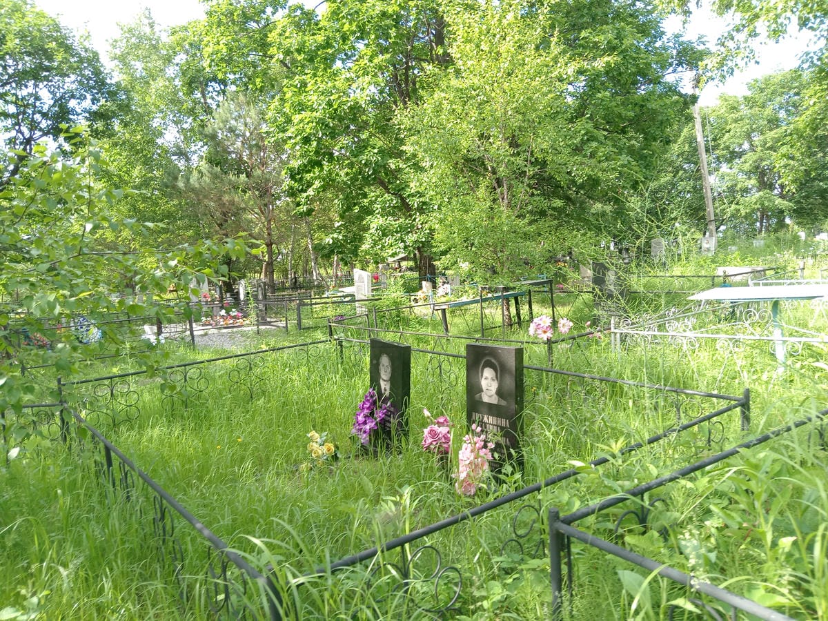 0500f59a-25a6-4d5f-bcd8-e3dfcc946964 Дружинин Виктор Александрович