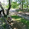 Беремец Андрей Владимирович