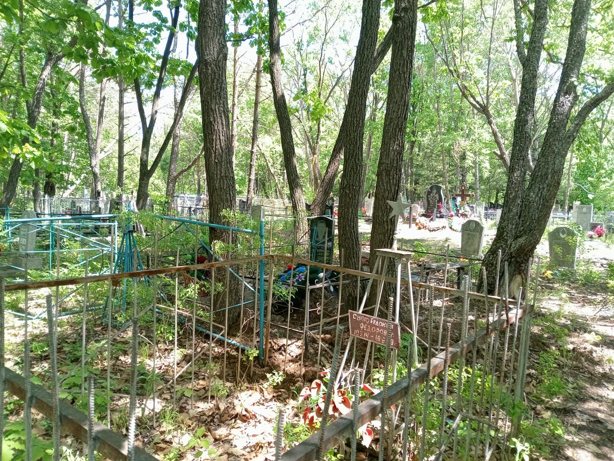 0632ef9d-a354-41a3-a76a-094c1ea73cbc Сноко Евдокия Фёдоровна