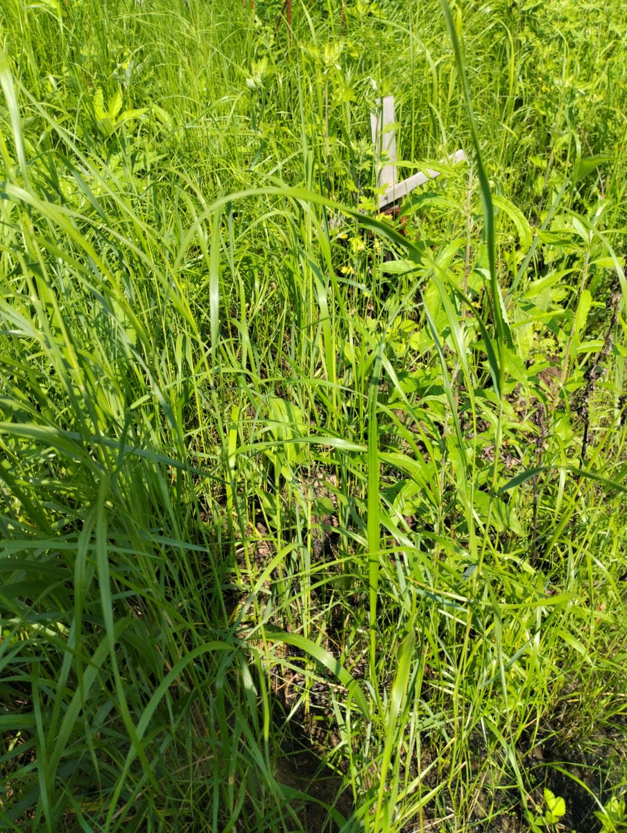 Неизвестно Неизвестно Неизвестно