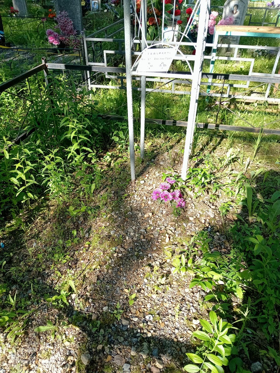 068c06fb-8cc3-4a84-a087-866cb2224ec1 Стальмаков Виктор Васильевич