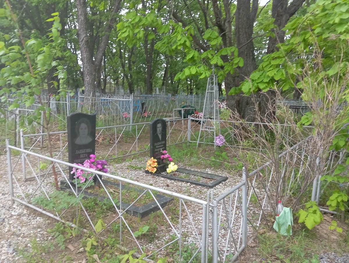 06a58b7b-ec95-42ea-82e1-147159cf7a5d Лацыгина Вера Дмитриевна