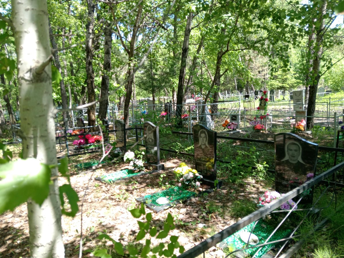 06bdeddd-76da-4c69-949e-b9abf246bfdf Басова Любовь Владимировна