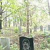Готунов Александр Васильевич