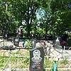 Давыдов Александр Владимирович