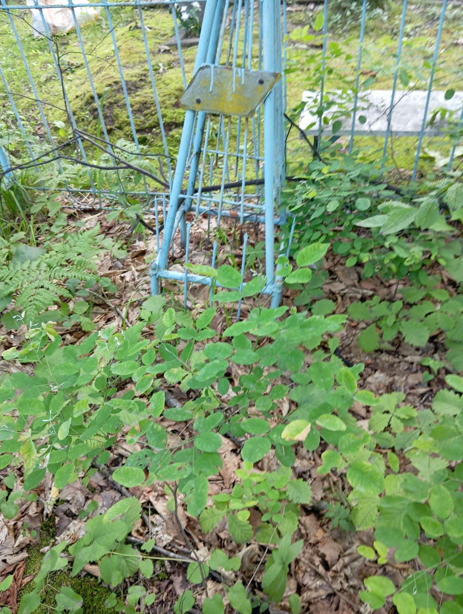 0710a6db-694f-4a50-943e-04cbba7fbd56 Неизвестно Неизвестно Неизвестно