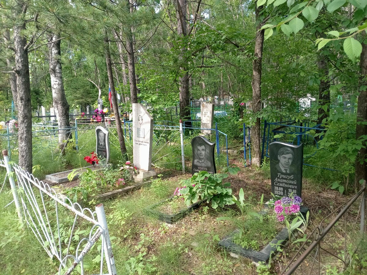 Тригуб Владимир Семенович