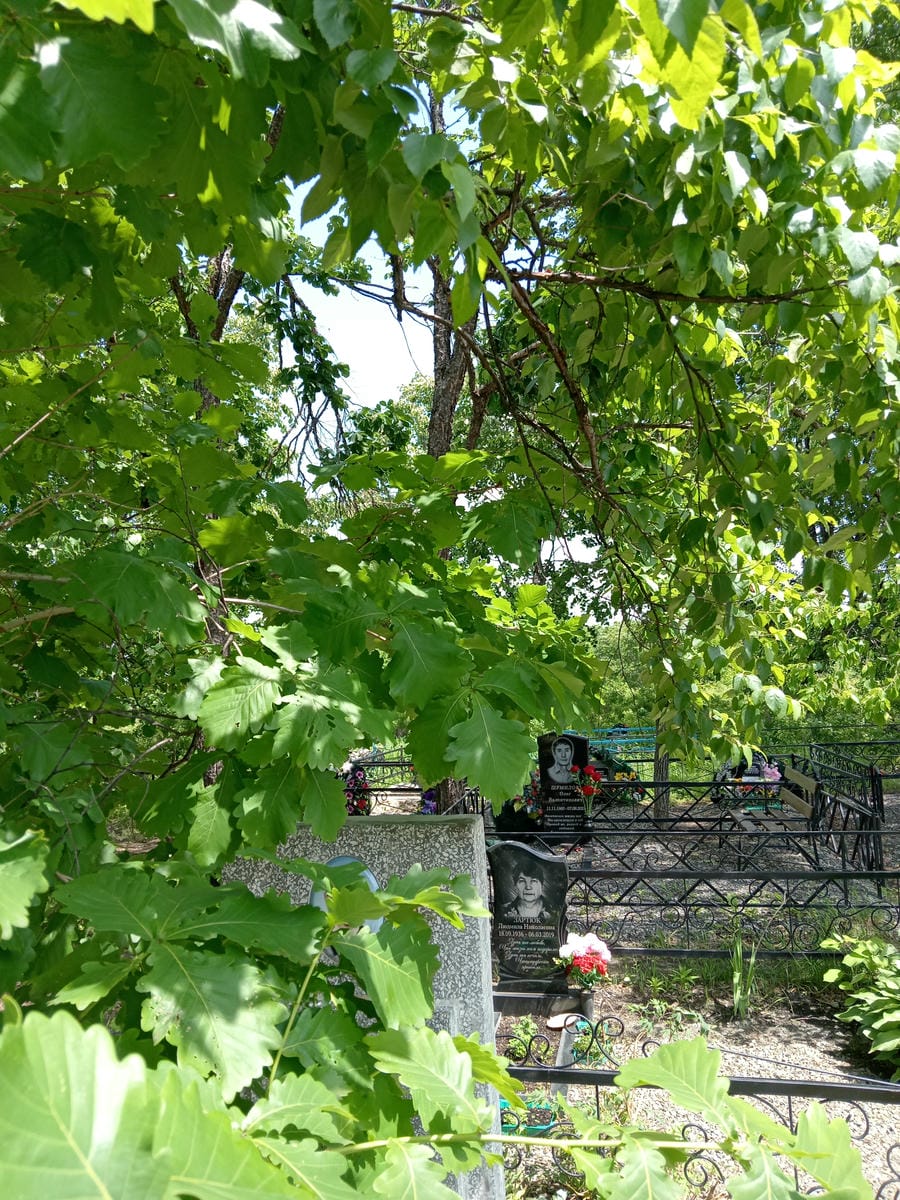 Козлов Владимир Юрьевич