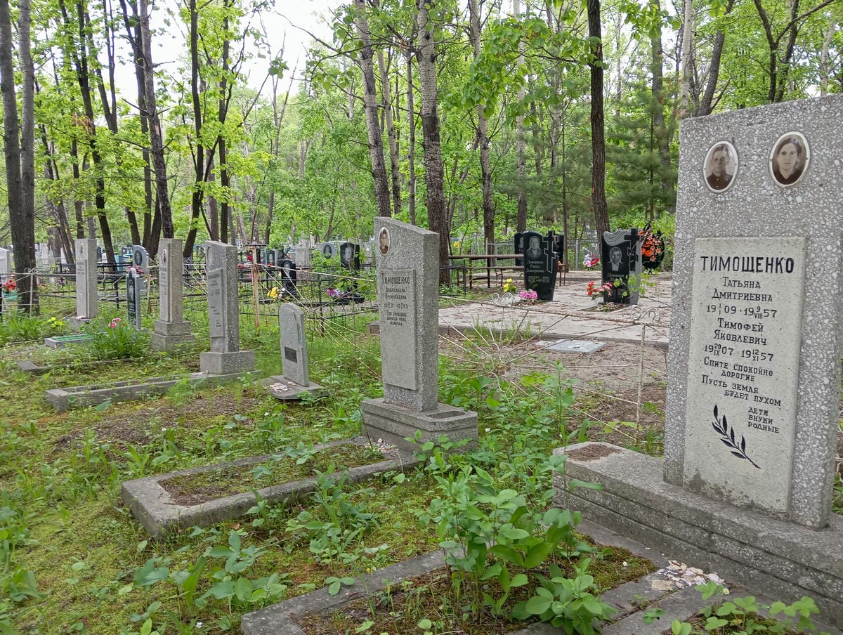 Тимощенко Дарья Яковлевна