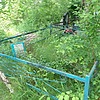 Ковальский Алексей Николаевич