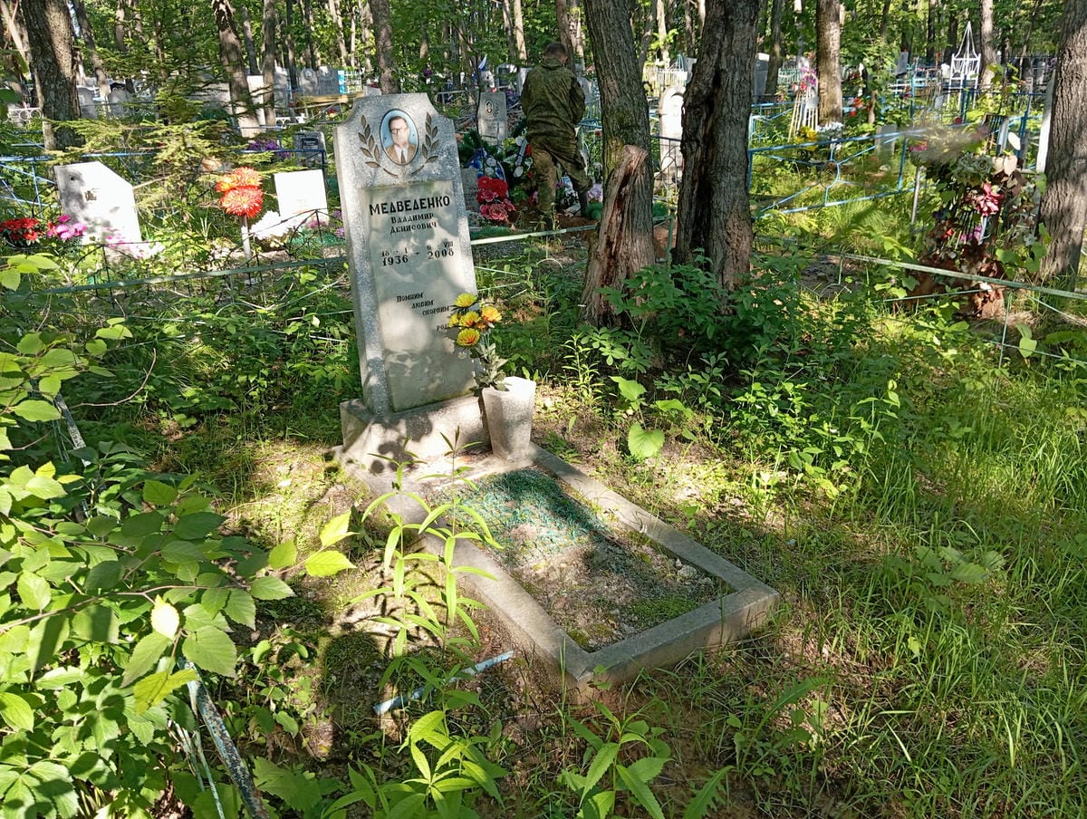 08dfa1d0-4489-4f67-97f6-031864612299 Медведенко Владимир Денисович