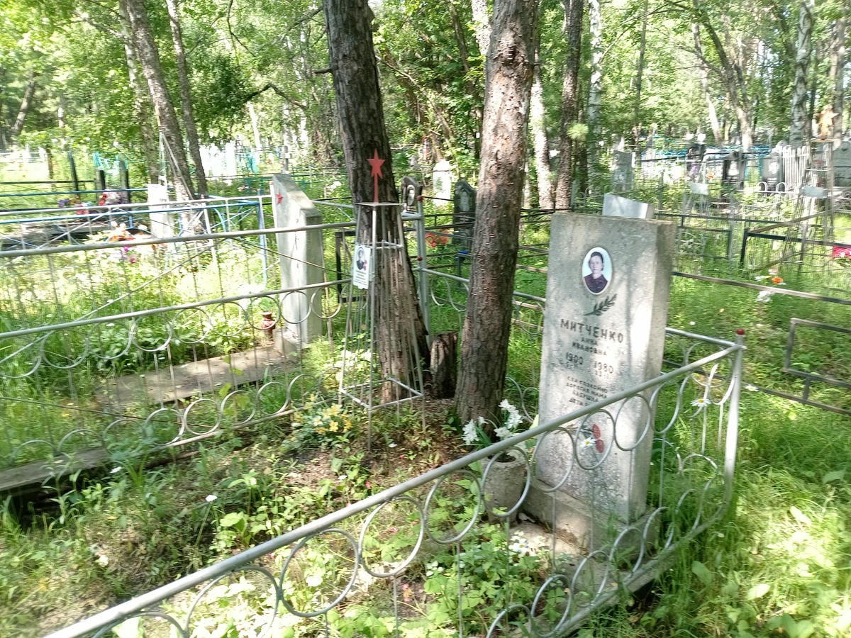 08f3a754-fcbf-4e57-8d51-518e997e4deb Митченко Анна Ивановна