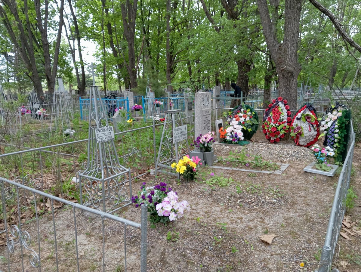 Орлов Николай Павлович