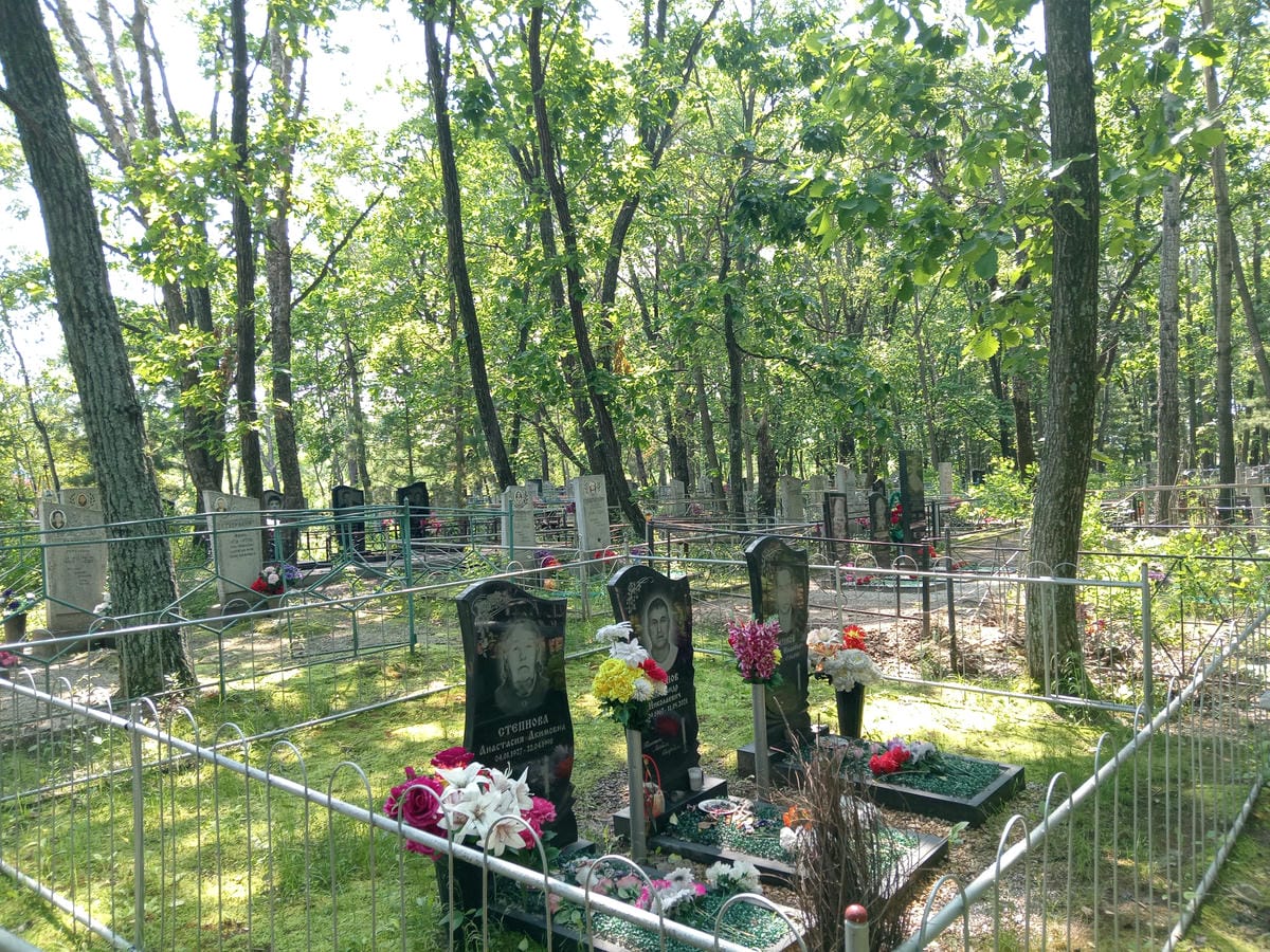 09224c88-dcaa-444b-83c5-f6a92b4d5fdc Степнов Александр Николаевич