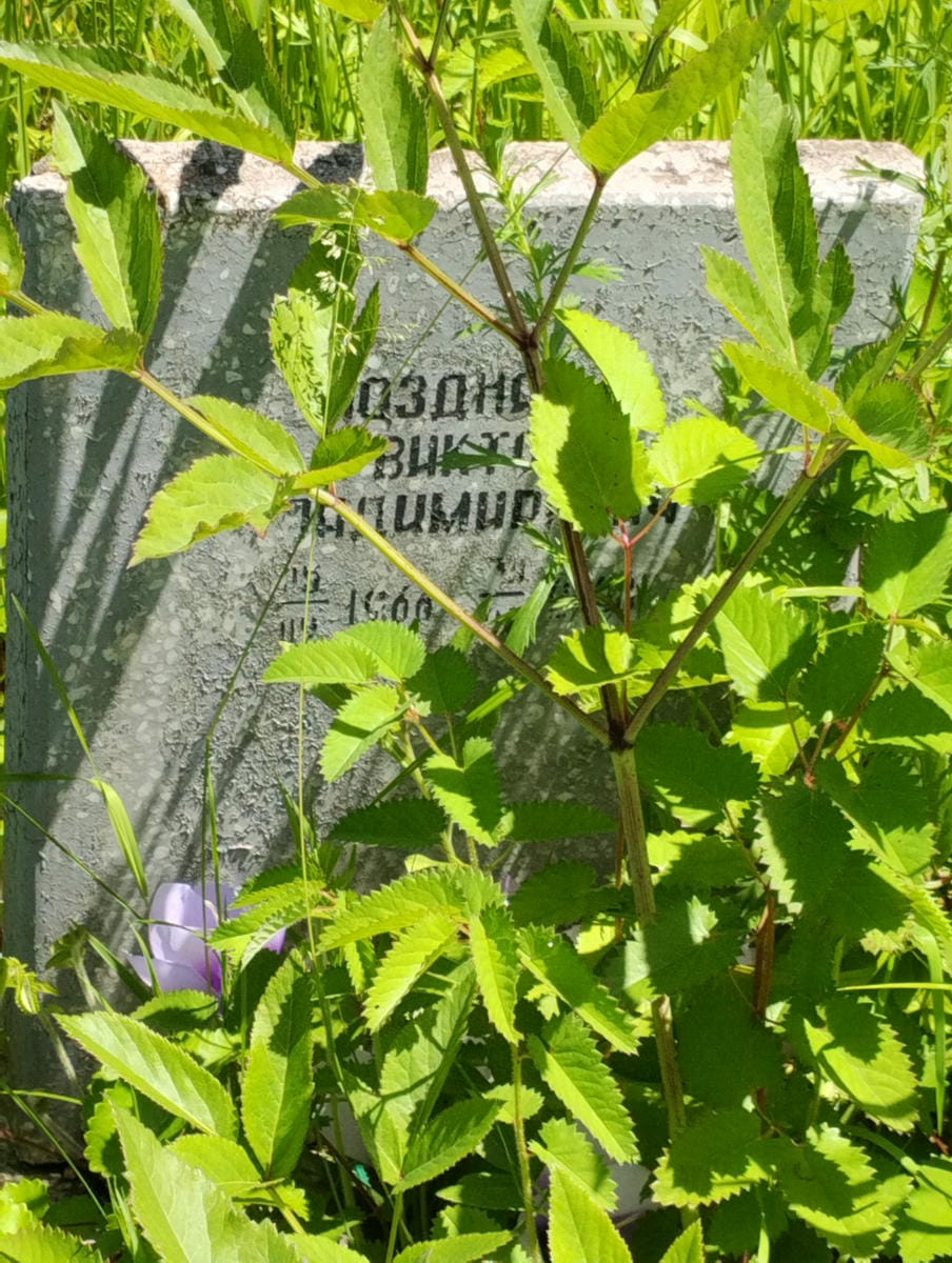 Поздняков Виктор Владимирович