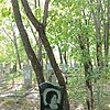 Игумнова Людмила Илларионовна