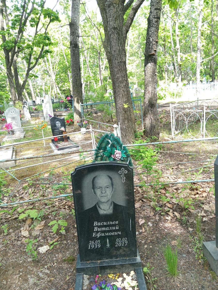 0ad980d0-6bcb-4bc2-a364-3262b45049bb Васильев Виталий Ефимович