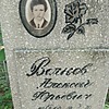 Волнов Алексей Юрьевич