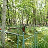 Пазинич Ефросиния Федосеевна