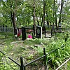 Дзюба Иннокентий Степанович