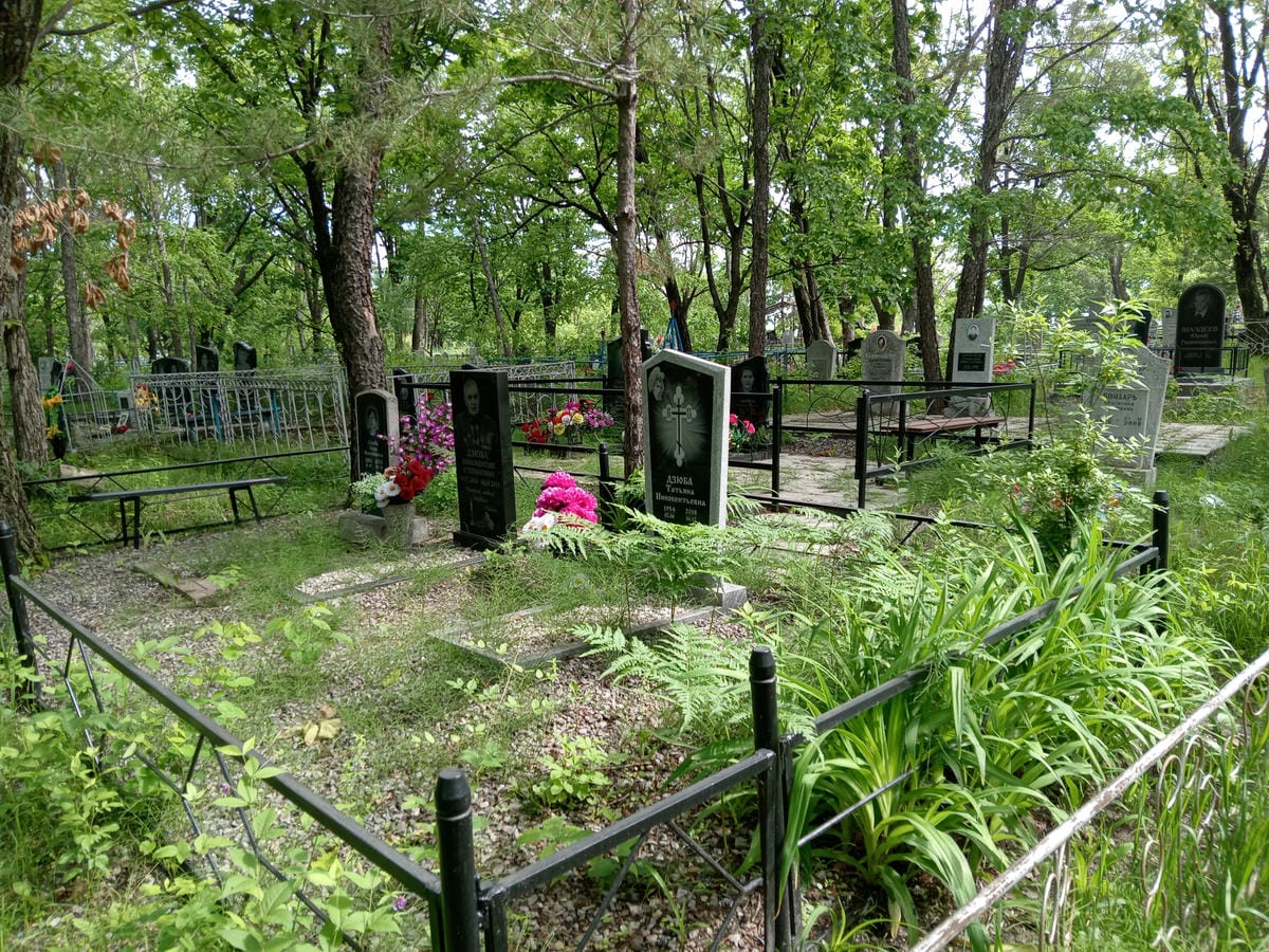 Дзюба Вера Николаевна