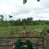 Черных Александр Николаевич