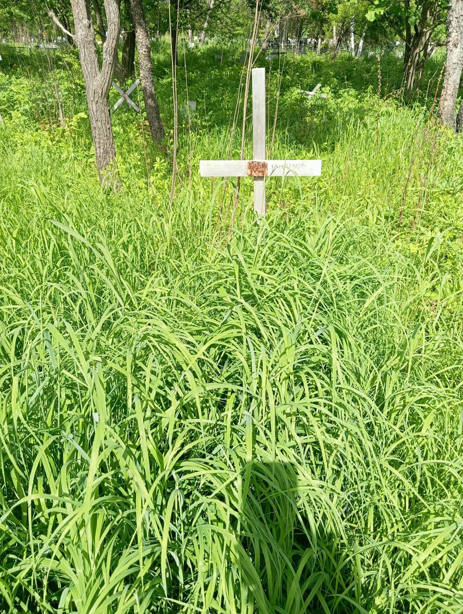 Шумилов Неизвестно Неизвестно