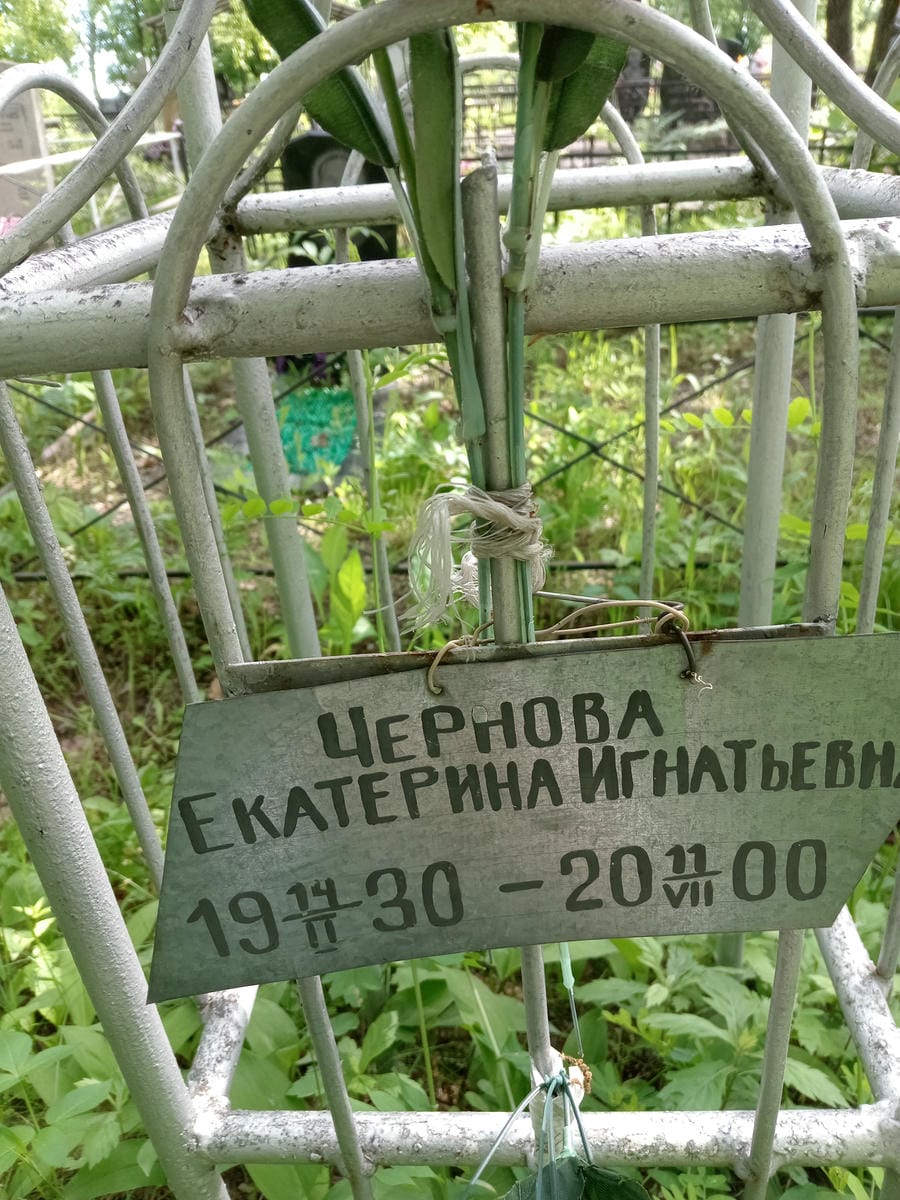 0d4d14de-2a0a-4b6c-a2ff-0a8fc1c199b9 Чернова Екатерина Игнатьевна