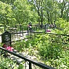 Какодей Александр Дмитриевич