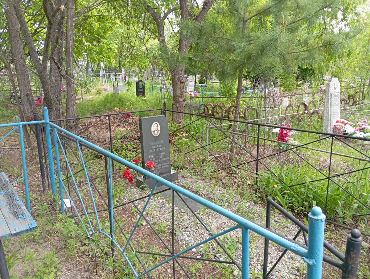 0da2393f-6edd-4591-a49b-98c7e594b5c1 Семенов Виктор Алексеевич