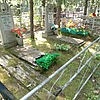 Николаенко Ольга Петровна