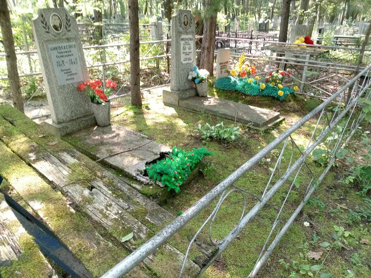 0da510ee-19e6-41c7-9fcf-87c761d3d779 Николаенко Тимофей Семенович