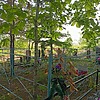 Корниенко Василий Николаевич