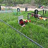 Козлова Зоя Ивановна