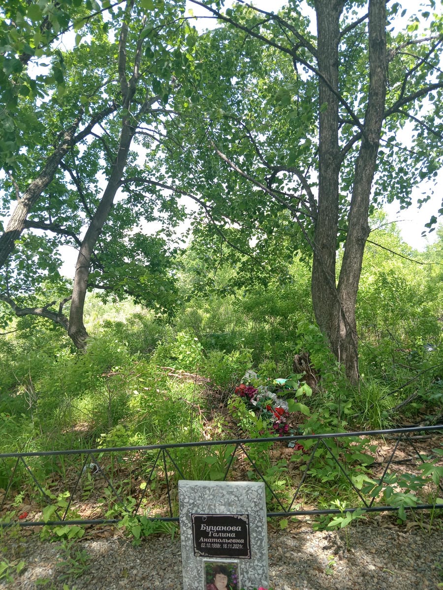 0f3afd6d-df7f-439e-a320-05c140bfac70 Буцанова Галина Анатольевна